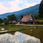 From Kanazawa: Tonami Tulip Festival and UNESCO Gokayama - The Practicalities: Logistics and Value