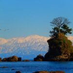 From Kanazawa: Toyama Bay and Shokawa River Cruise Day Trip - Transport, Timing, and Group Size