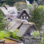 From Kanazawa/Toyama: Shirakawago and Takayama Day Tour - The Itinerary: What You Can Expect