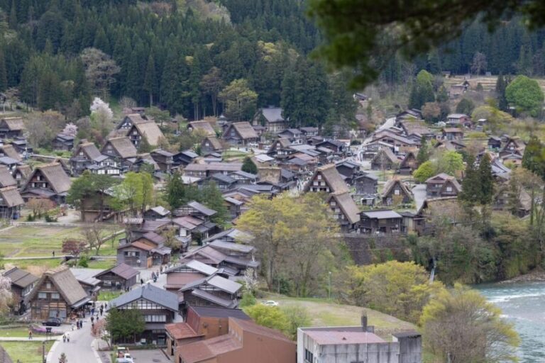 From Kanazawa/Toyama: Shirakawago and Takayama Day Tour - Why This Tour Is a Great Deal: Value and Comfort