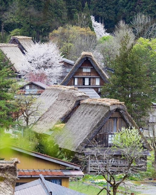 From Kanazawa/Toyama: Shirakawago and Takayama Day Tour - The Itinerary: What You Can Expect