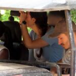 From Kandy: All Inclusive Half/Full Day Wilpattu Safari - A Closer Look at the Wilpattu Safari from Kandy