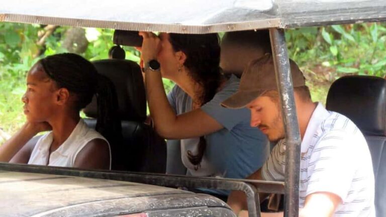 From Kandy: All Inclusive Half/Full Day Wilpattu Safari - A Closer Look at the Wilpattu Safari from Kandy