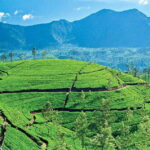 From Kandy: Ella private Day Tour With Train Ride - What Travelers Can Expect