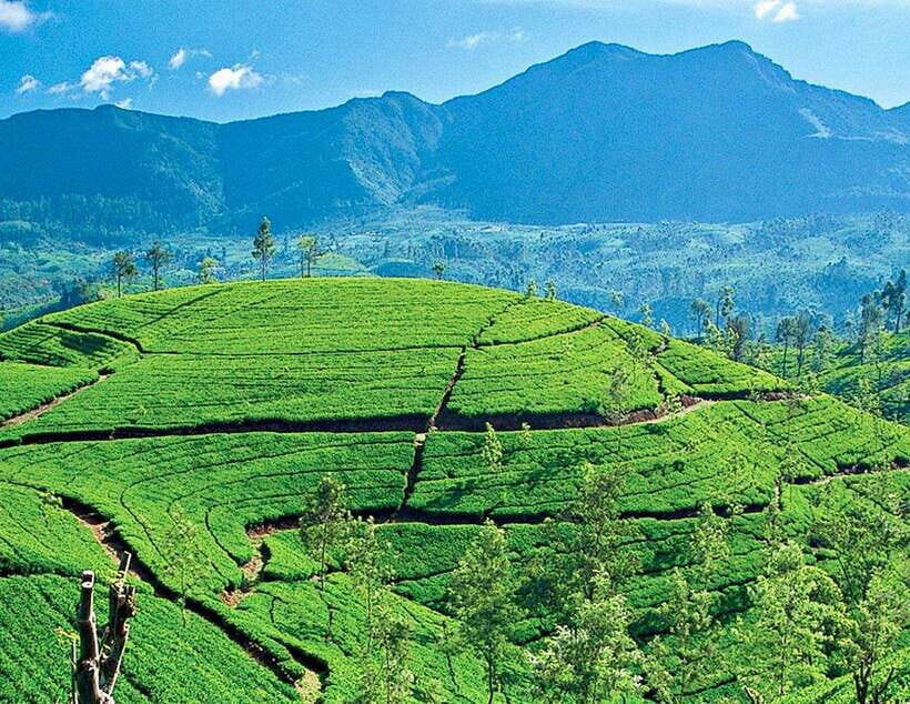 From Kandy: Ella private Day Tour With Train Ride - What Travelers Can Expect