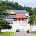 From Kandy: Full Day tour in Kandy with Ambuluwawa Tower - Practical Details and Tips