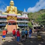 From Kandy: Minneriya Wildlife Safari and Heritage Day Tour - Who Is This Tour Best For?