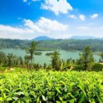 From Kandy: Nuwara Eliya Day Tours (Ambewela Railway Drop) - A Detailed Breakdown of the Itinerary