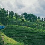 From Kandy: Second/Third Class Scenic Train Ticket to Ella - Why This Train Journey Is Worth It