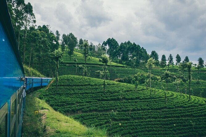 From Kandy: Second/Third Class Scenic Train Ticket to Ella - Why This Train Journey Is Worth It