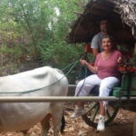 From Kandy: Sigiriya and Pidurangala Rock Tuk Tuk Day Tour - The Itinerary Breakdown: What to Expect at Each Stop