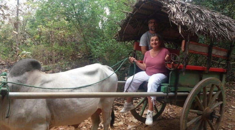 From Kandy: Sigiriya and Pidurangala Rock Tuk Tuk Day Tour - The Itinerary Breakdown: What to Expect at Each Stop