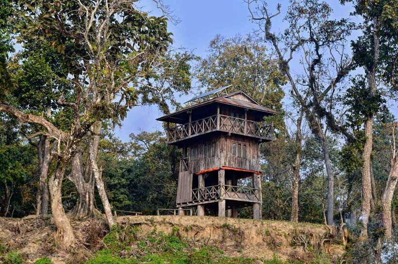 From Kathmandu: 1 Night 2-Day Chitwan Jungle Tour - Exploring Chitwan’s Last Remaining Forests