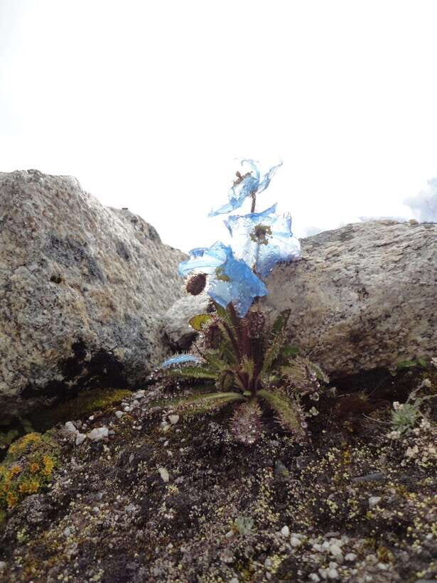 From Kathmandu: 11- Day Everest Base Camp Trek with Guide - The Practicalities: What’s Included and What’s Not