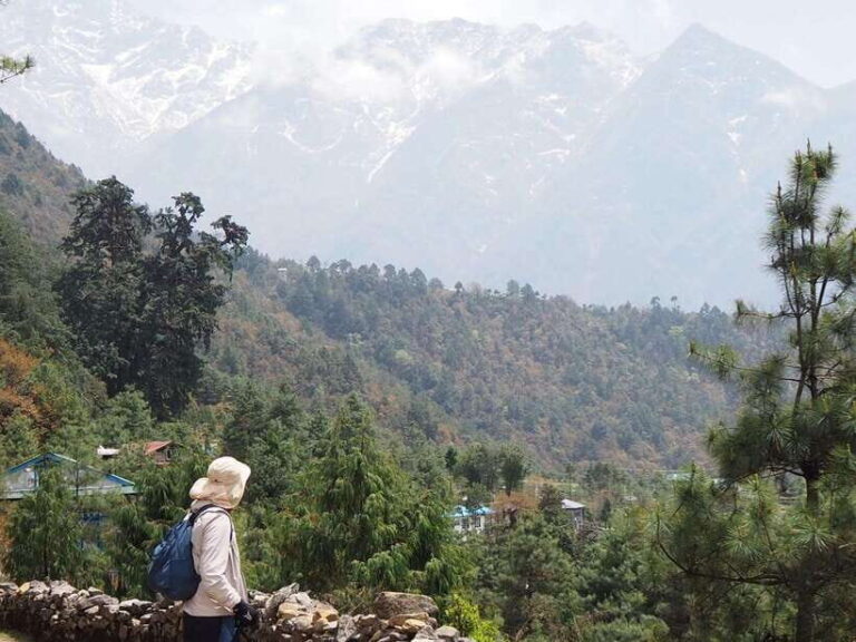From Kathmandu: 15-Day Everest Base Camp Trek - The Itinerary Explored