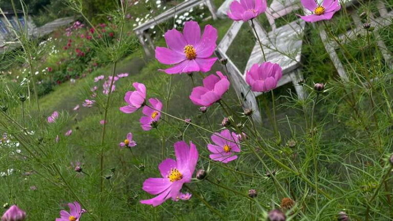 From Kathmandu: 3-Day Lumbini Trip - Day 1: Journey from Kathmandu to Lumbini