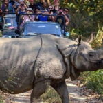 From Kathmandu: 4-Day Chitwan National Park Tour - Who Is This Tour Best Suited For?