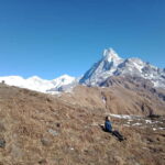 From Kathmandu: Mardi Himal 8-Day Guided Trek - Why This Trek Offers Great Value