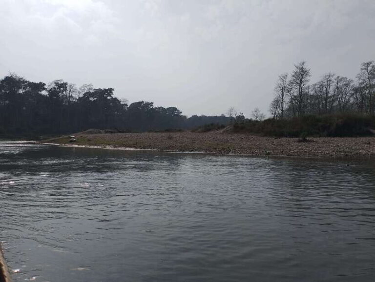 From Kathmandu or Pokhara: 4-Day Chitwan National Park Tour - Practical Tips for Making the Most of Your Trip