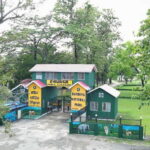 From Kathmandu/Pokhara: Bardiya National Park 4-Day Tour - Day 3: Jungle Walk and Tiger Tracking