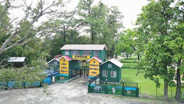 From Kathmandu/Pokhara: Bardiya National Park 4-Day Tour - Day 3: Jungle Walk and Tiger Tracking