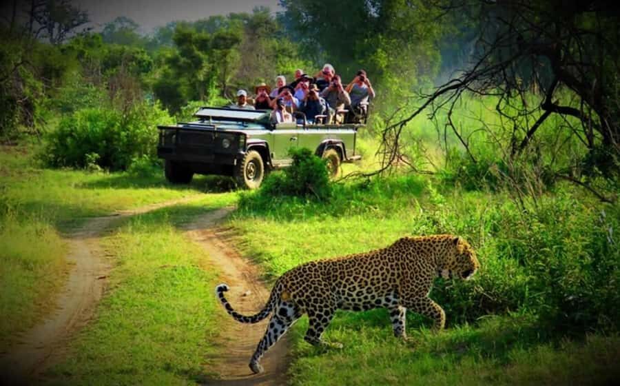 From Kathmandu/Pokhara: Private 3-Day Chitwan Safari Tour - The Practicalities of the Tour