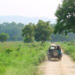 From Kathmandu: Private 3-Day Chitwan Safari Tour - Day 2: The Heart of the Jungle - Safari Adventures