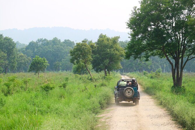 From Kathmandu: Private 3-Day Chitwan Safari Tour - Day 2: The Heart of the Jungle - Safari Adventures