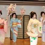From Kobe: Kobe Beef & Arima Onsen Geisha Performance - Who Should Book This Tour?