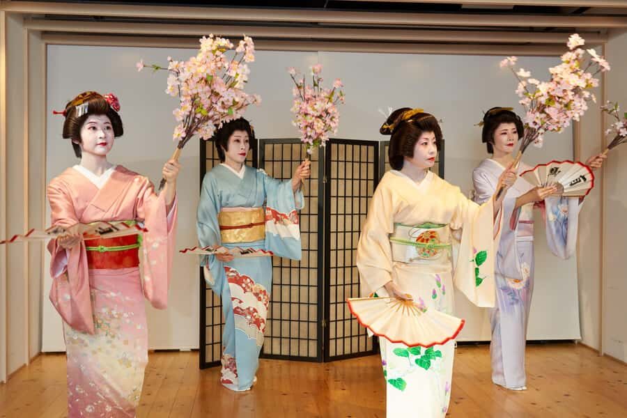 From Kobe: Kobe Beef & Arima Onsen Geisha Performance - Who Should Book This Tour?