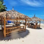 From Koh Samui: Pink Dolphin Boat Tour to Khanom with Lunch - Practical Insights on Value and Expectations