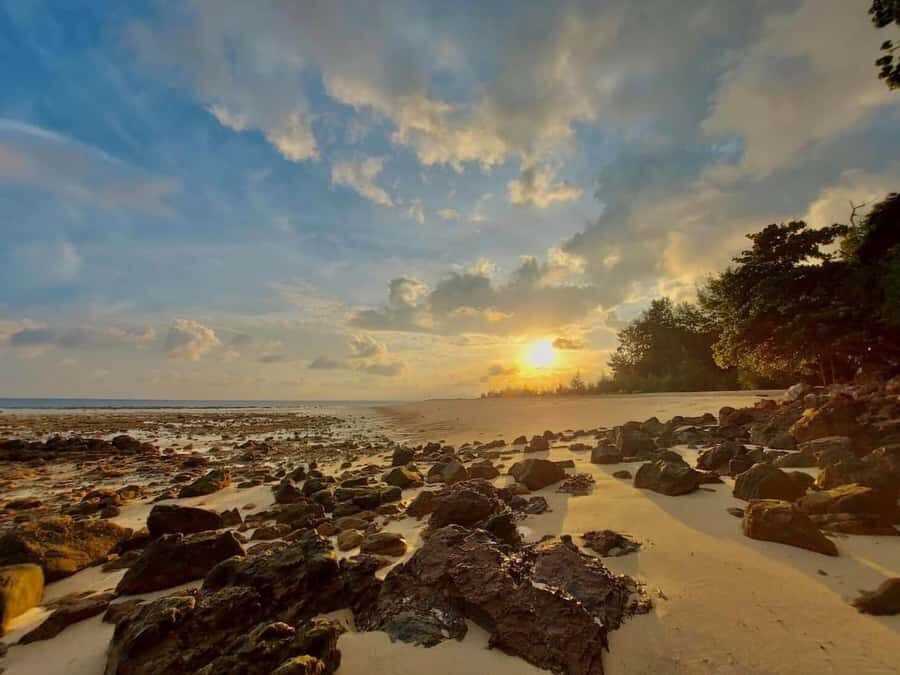 From Krabi: Phi Phi Early Bird & 4 Islands by Speedboat - The Itinerary in Detail