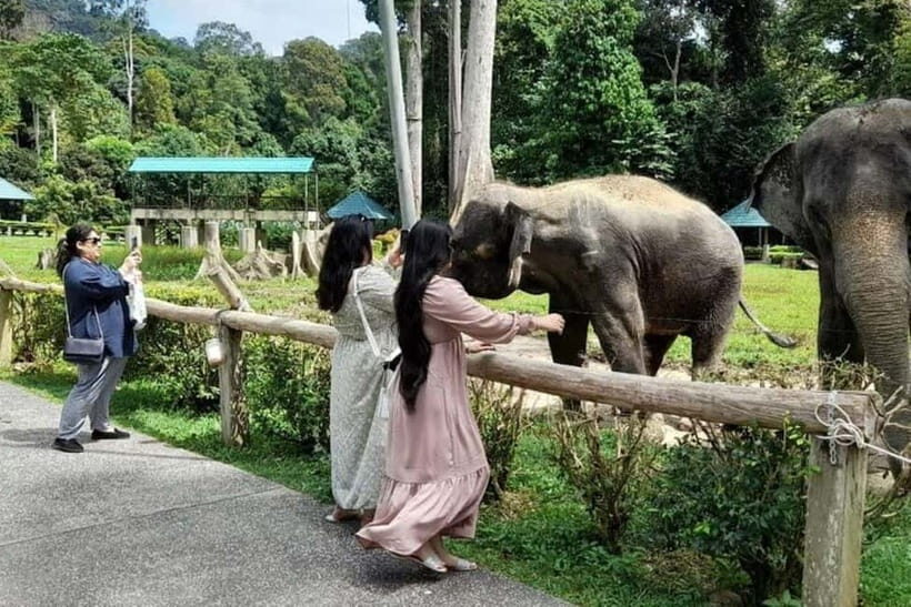 From Kuala Lumpur: Kuala Gandah & Batu Caves Day Trip - Practicalities and Value