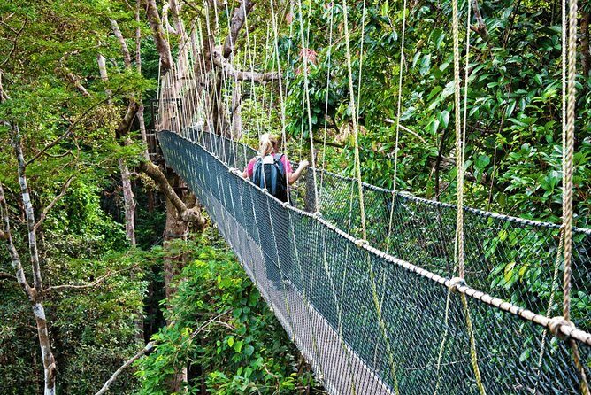 From Kuala Lumpur Taman Negara Day Trip With Lunch - What the Reviews Say