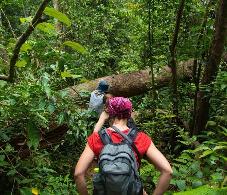 From Kuala Lumpur: Taman Negara National Park Private Tour - Practical Details—What to Expect and How to Prepare