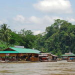 From Kuala Lumpur: Taman Negara National Park Trek Day Tour - What Makes This Tour Stand Out?