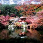 From Kyoto: Kyoto Highlights Private Tour with English Guide - The Full Day Itinerary: A Closer Look