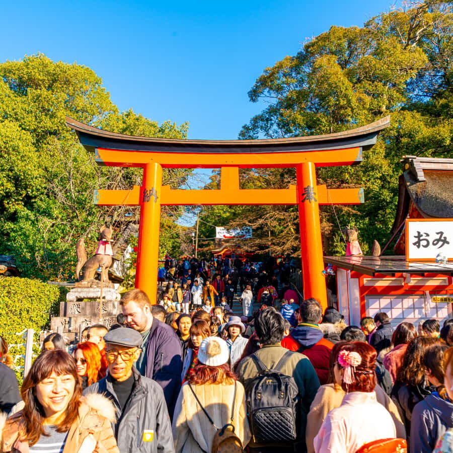 From Kyoto: Kyoto Highlights Private Tour with English Guide - Final Thoughts