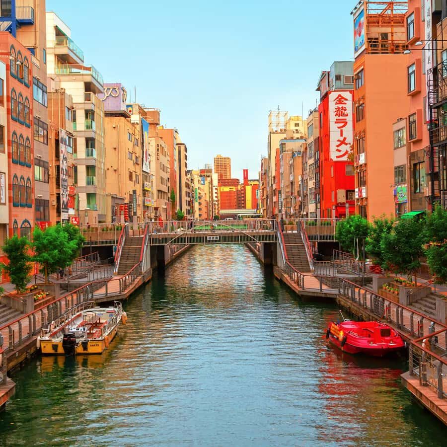 From Kyoto: Kyoto Private Customized Tour with English Guide - Why This Tour Works for You