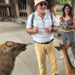 From Kyoto: Nara Guided Morning Tour - Practical Details and Tips