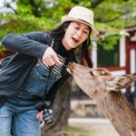 From Kyoto: Nara & Mt. Koya 1-Day Bus Tour - The Experience: Pros and Cons