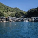 From Kyoto: Private Day Trip to Hidden Amanohashidate & Ine - Why This Tour Offers Great Value