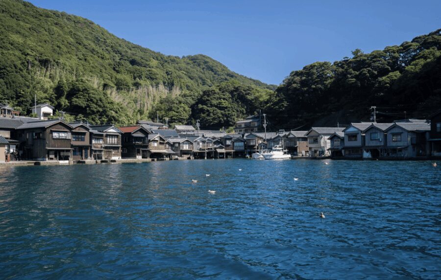 From Kyoto: Private Day Trip to Hidden Amanohashidate & Ine - Why This Tour Offers Great Value