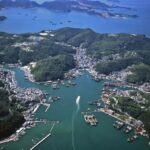 From Kyoto: Relaxing Island Exploration, Local Seafood Lunch - Authenticity and Value