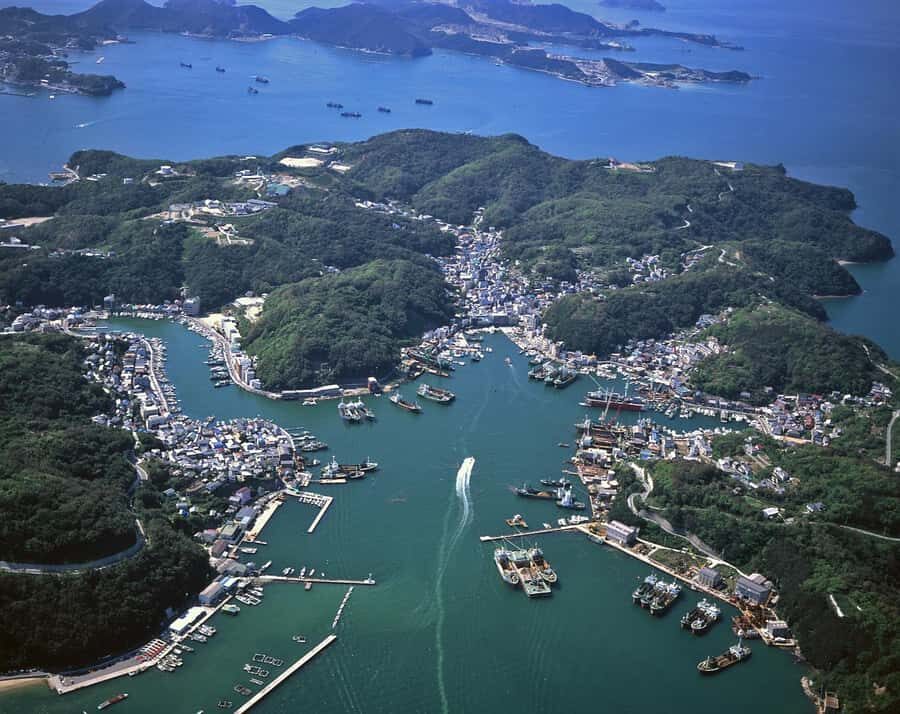 From Kyoto: Relaxing Island Exploration, Local Seafood Lunch - Authenticity and Value