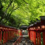 From Kyoto:Day Tour to Kifune Shrine+Kuruma+Sanzen-in Temple - Who is this tour best suited for?