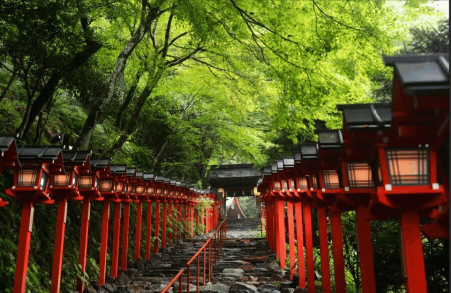 From Kyoto:Day Tour to Kifune Shrine+Kuruma+Sanzen-in Temple - Who is this tour best suited for?