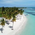 From La Romana: Saona Island for Aida Cruises Passengers - Overview of the Tour Experience