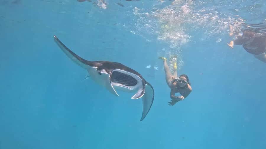 From Lembongan: Snorkeling 3 Spots, Mangrove and Land Tour - The Authentic Experience