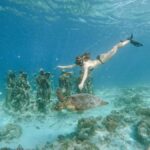 From Lombok: 3 Gili Islands Private Snorkeling Adventure - Why Choose This Tour?